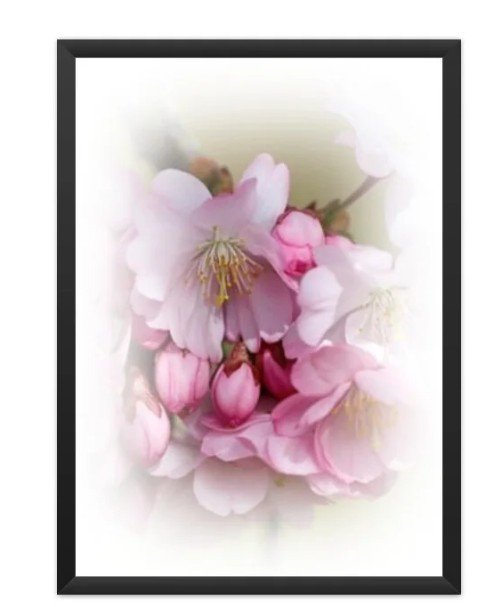 Poster Floral 09