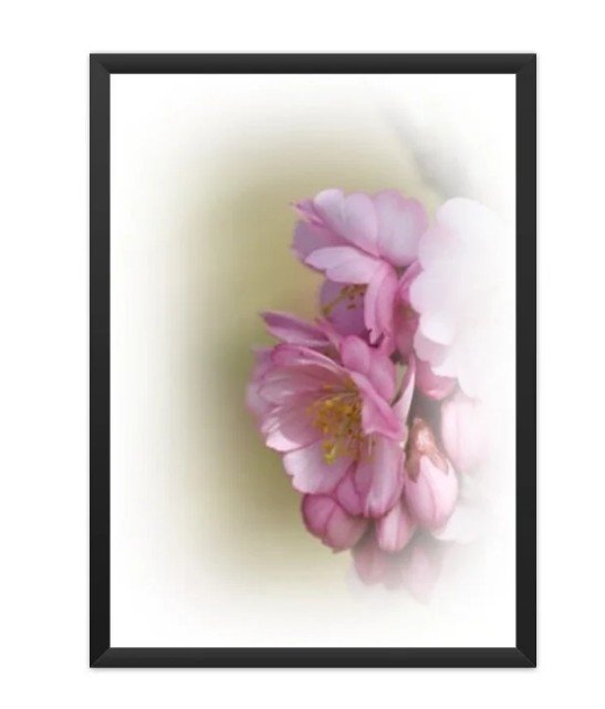 Poster Floral 01