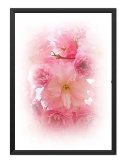 Poster Floral 05
