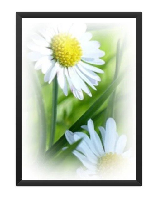 Poster Floral 07