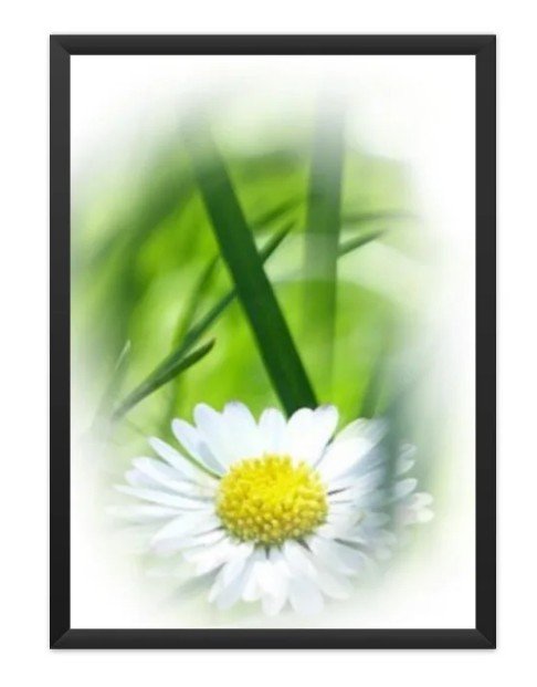 Poster Floral 01